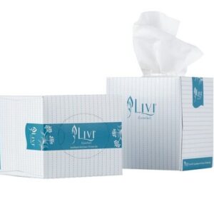 Tissue Facial 2 Ply White 90 Sheets, Each