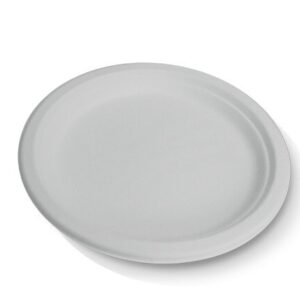 Plate 10" Sugarcane Round, 500/C