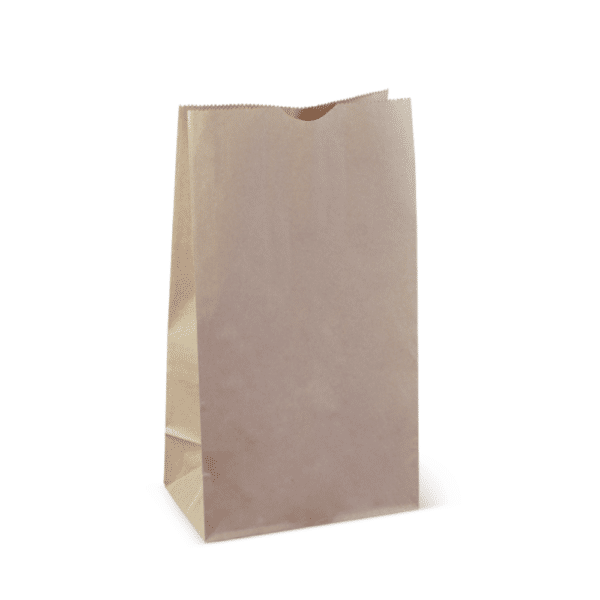 Bag#12 Kraft Paper Brown 3kg, 500/SLV