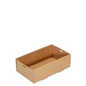 Catering Tray Kraft No-1 (253X153X80mm), 100/C
