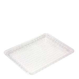 Tray Moist lock RPET Clear 11x9 Inch, 240/C